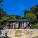 완월동246 이미지