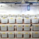 장중은농장 이미지