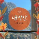 명동산장펜션 | 정읍 내장산 단풍시기 가을 실시간 현황 주차 및 화장실 정보