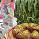 더샵 | 용산 파이인더샵 포장 후기 용리단길 루프탑 카페 추천