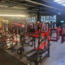 몰리짐 문덕 이미지