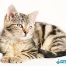 선유초등학교 이미지