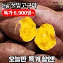 산해2 이미지