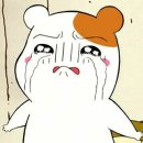 타짜PC 이미지
