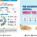 올봄 맥류 안정 생산·수확량 확보 위해 제때 방제