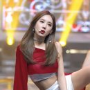 케이스텔라 이미지