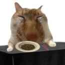 별의별이야기 이미지