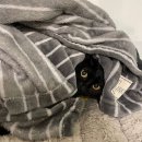 해밀동물병원 이미지