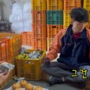 장터 농장 티스토리