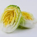 아삭아삭 티스토리