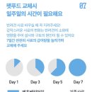 강아지눈물사료, 알러지 케어 페츠베리머치 조이밀세트 체험후기 입니다.