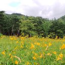 지리산정원 이미지