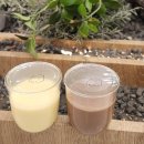 에바다민박 | 1월 겨울, 두번째 제주도 여행기 2박 애월편