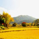 가천세탁소 이미지