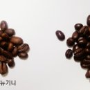 메종드JJ