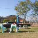 카페그꽃 이미지