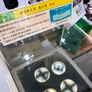 레몬트리 안경콘택트 이미지