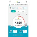 카타이어 이미지