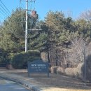 뉴코리아 | 고양 명문 골프장 뉴코리아cc 라운딩 후기 비회원 예약부터 코스 솔직 평가까지