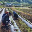 영양읍사무소 이미지