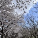 행운목장 이미지