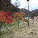 충주유기농체험교육센터 이미지