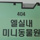 엘 미니동물원 이미지