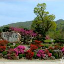 대아수목원&대아호 이미지