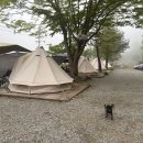 홍천펜션&글램핑캠프별이빛나는밤 이미지