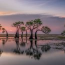 CW-1300-01 이미지