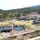 왕인박사유적지 이미지