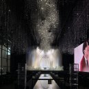 양지교통(주) | [W.베뉴] 아이벡스컨벤션 웨딩홀 상담 후기 | 27년 상반기 최종 계약