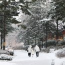 메이필드호텔 이미지