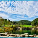 영동 일라이트CC 이미지