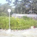 김기창농장 이미지