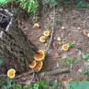 김전1리 경로당 이미지