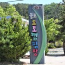 율포오토캠핑장 이미지