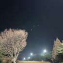 (주)라비돌 네이버블로그