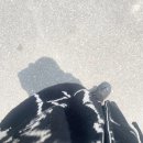 3rd 팔성 라이브 ~ 여름으로 ~ 후기 기록 ...-