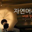 자연머리 - 사천시 | 자연머리