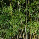 진양호공원(매점) 이미지