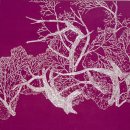 비밀의화원 이미지