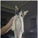 바다노을펜션 이미지