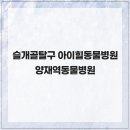 수동물병원 이미지