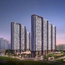 금성백조예미지 이미지