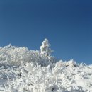 덕유산주유소 이미지