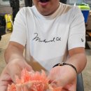 포차씨스타 이미지