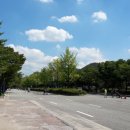 대공원충전소 이미지