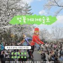 대릉원 | 지금 경주 벚꽃 얼마나 폈을까? 어제 다녀온 따끈따끈한 대릉원·황리단길 후기