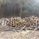 보일농수산 이미지